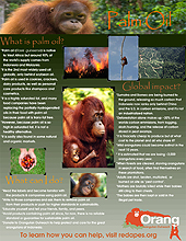 Action Packs - Orangutan Outreach