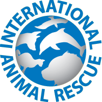 International Animal Rescue (IAR) - Orangutan Outreach