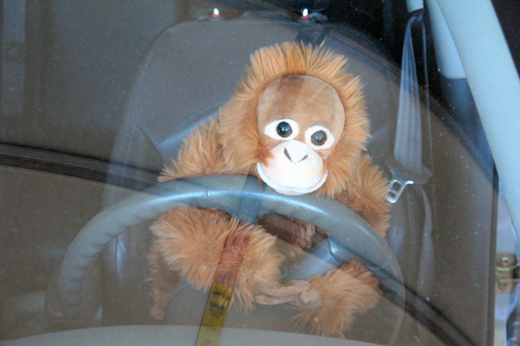 cuddly toy orangutan