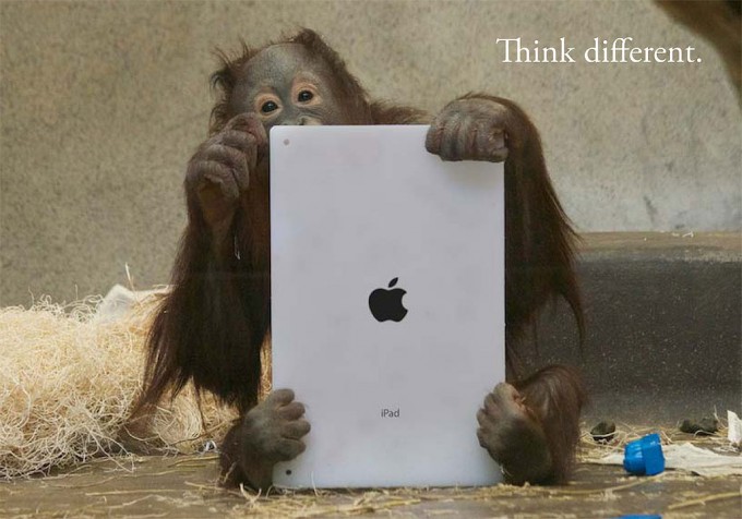 OrangutanOutreach-Apps4Apes-1028x720