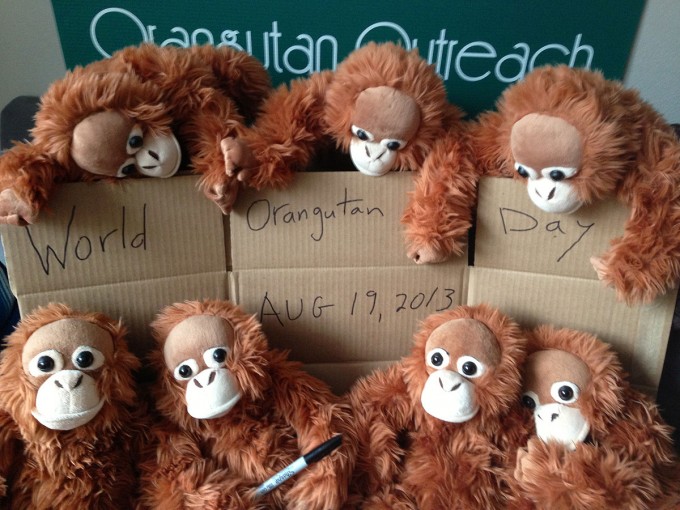 Orangutan Outreach Interns Hard at Work!