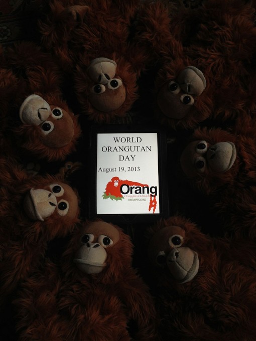 Orangutan Outreach Interns Hard at Work!