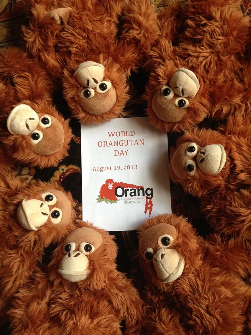 Orangutan Outreach Interns Hard at Work!