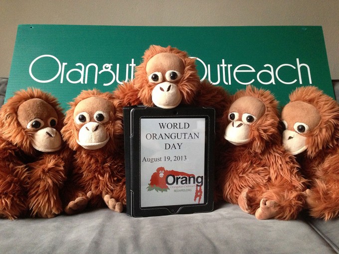 Orangutan Outreach Interns Hard at Work!