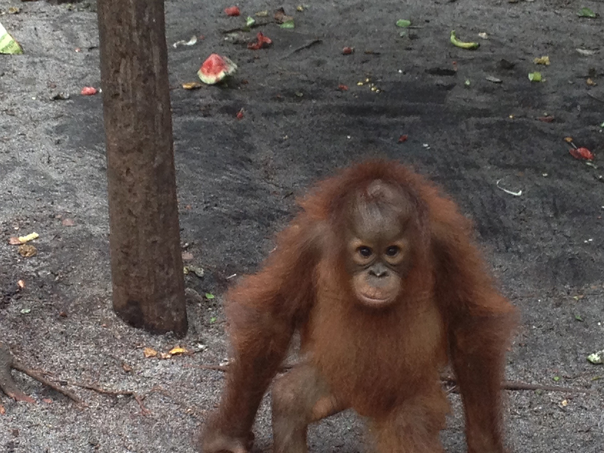 Baby Intang on the move!