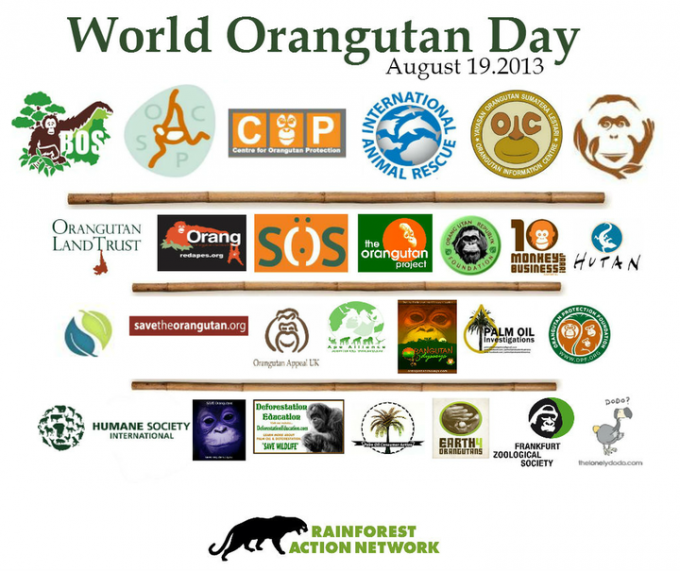 World Orangutan Day!