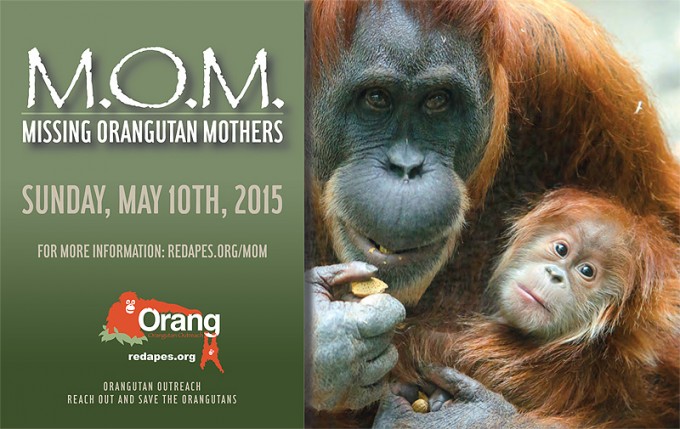 OO-MOM-2015-Eng-1-800w