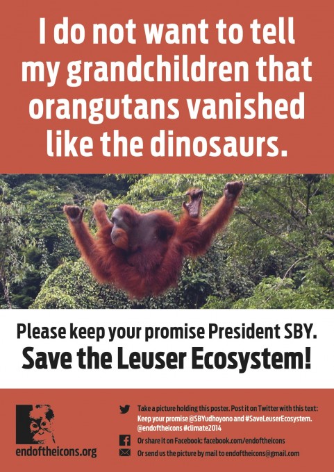 Leuser-poster-orangutan