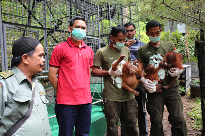 IMG_1974 BBKSDA Somad Police Cpt Bayu and the 3 orangutans