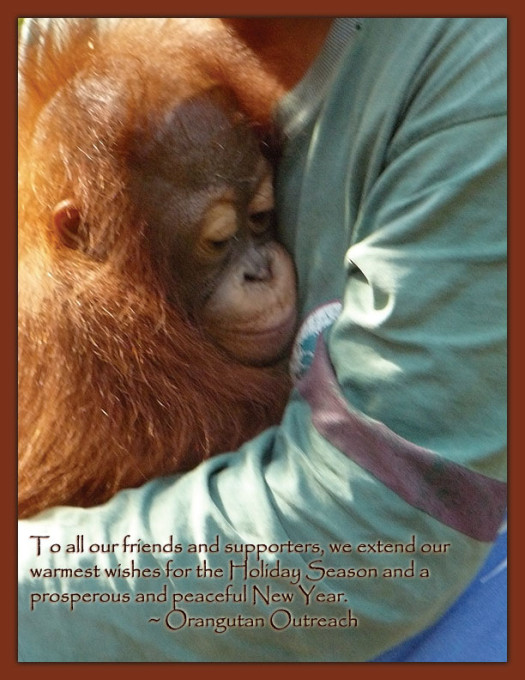 OrangutanOutreach-HappyHolidays-redux