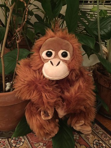 cuddly toy orangutan