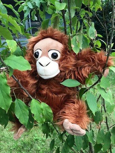 cuddly toy orangutan