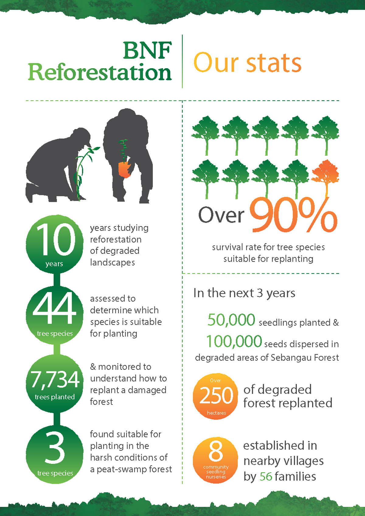 Borneo Nature Foundation: Reforestation Program - Orangutan Outreach