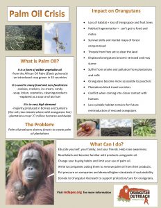 Palm Oil Crisis