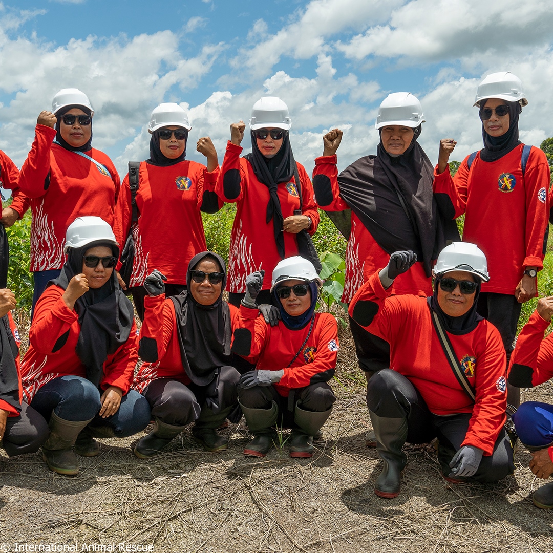 Meet the Power of Mama, Borneo's first women ranger teams