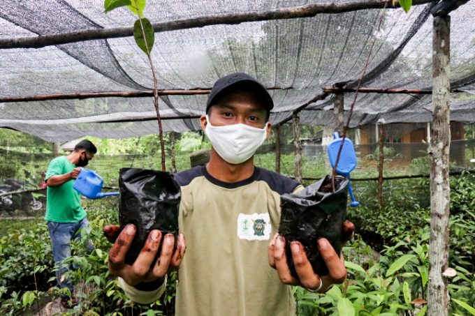 Forest restoration team holding native tree seedlings for reforestation in orangutan habitat