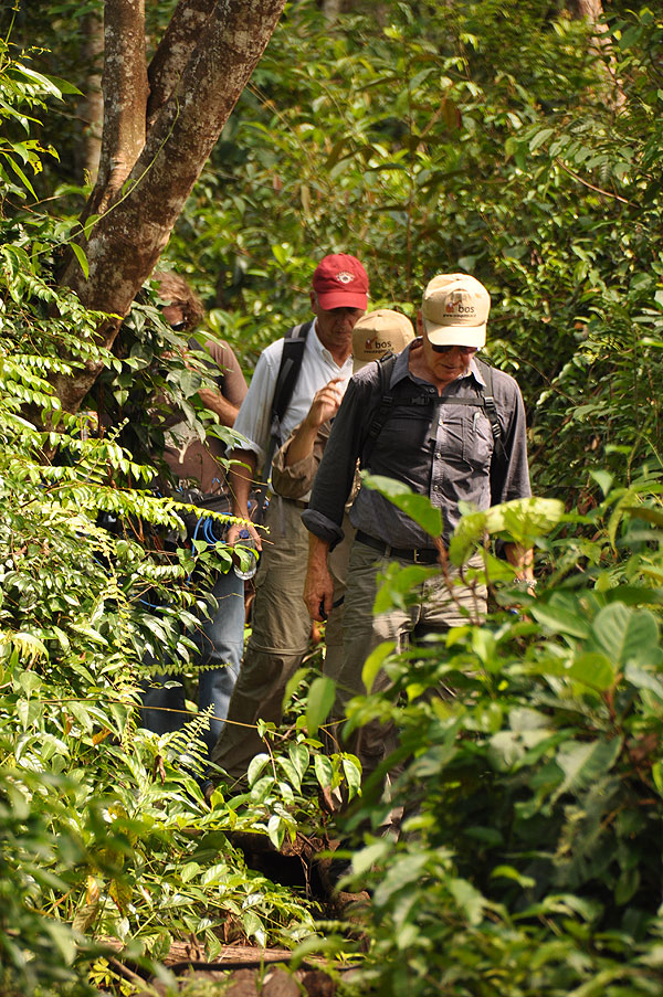 Harrison joined us in Nyaru Menteng to learn more about the results of deforestation in Kalimantan