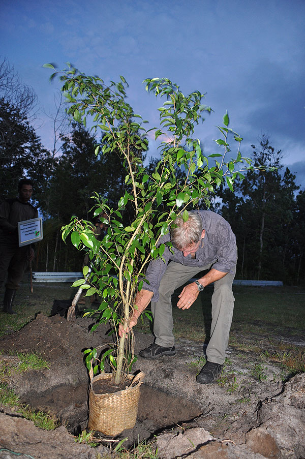 Harrison plants a Banyan tree