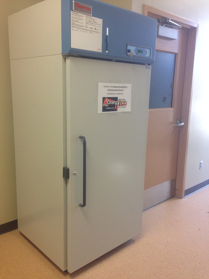 Fabulous Fecal Freezer