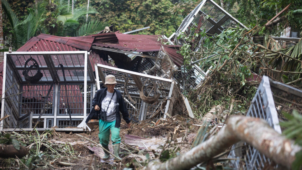 Damaged orangutan enclosures and infrastructure following landslides at the SOCP Quarantine Center in Indonesia