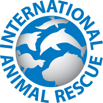 iar-logo-globe