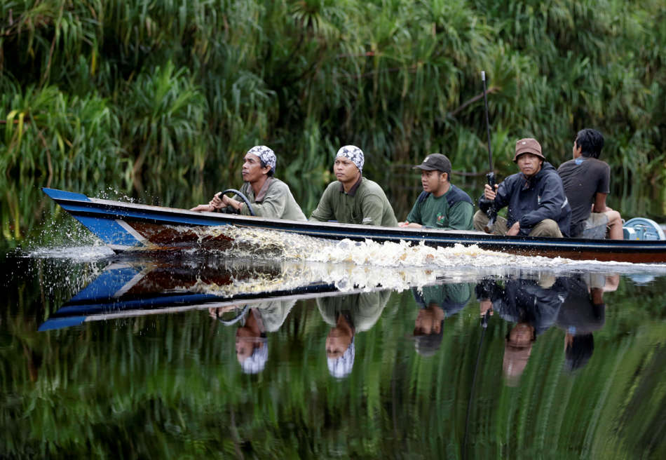 In this Jan. 6, 2016, photo, conservationists from the Borneo Orangutan Survival Foundation sit on a boat as they search for orangutans during a rescue and release operation in a swath of jungle in Sungai Mangkutub, Central Kalimantan, Indonesia. A team of foresters, veterinarians and technicians were deployed to rescue orangutans which lost their habitat to the forest fires last year and relocate them to a new location. (AP Photo/Dita Alangkara)