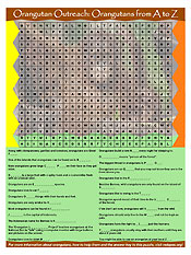 Word Search Word Search