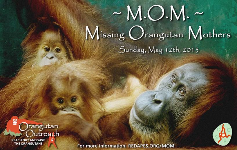 MOM 2013