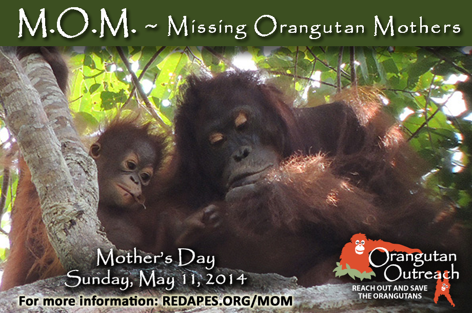 MOM_2014MD