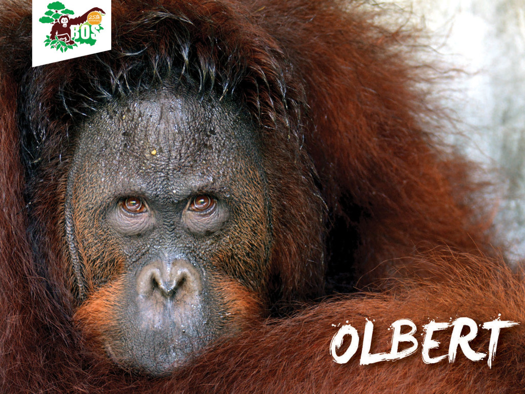 Olbert-1024x768