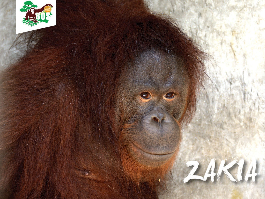 Zakia-1024x768