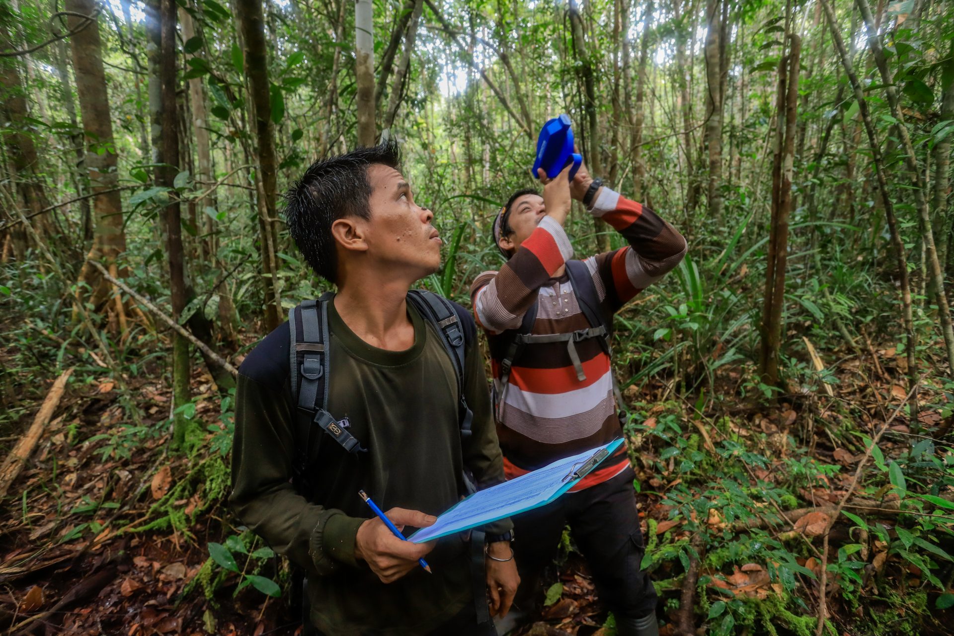 BNF Field Team Following Orangutans