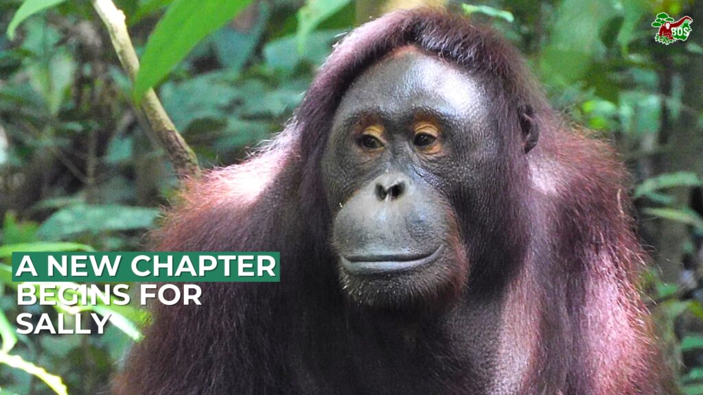 A New Chapter Begins for Sally