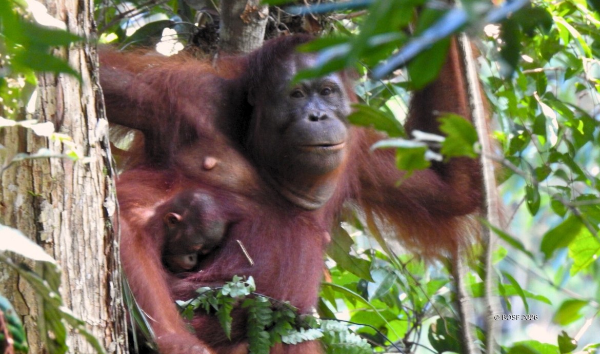 Agis and her baby