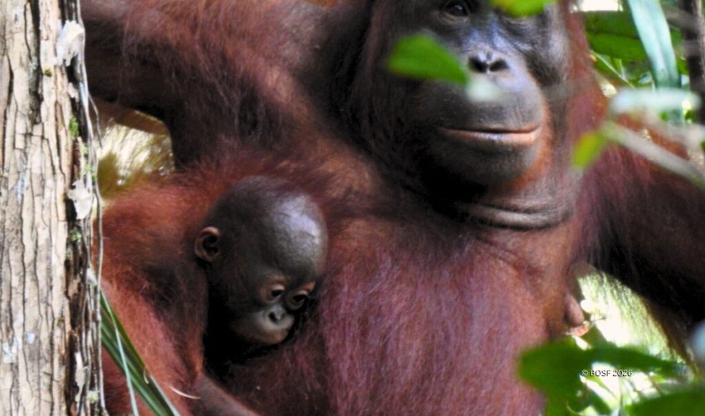 Agis and her baby