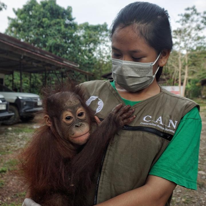 Rescued Baby Panji
