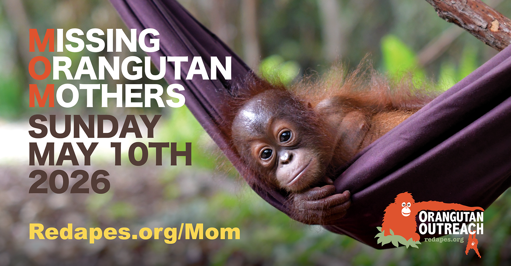 MOM Missing Orangutan Mothers 2026 Campaign Banner