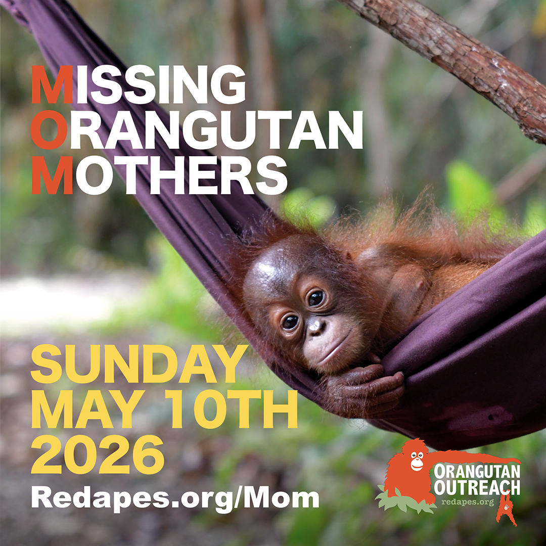 MOM Missing Orangutan Mothers 2026 Campaign Banner