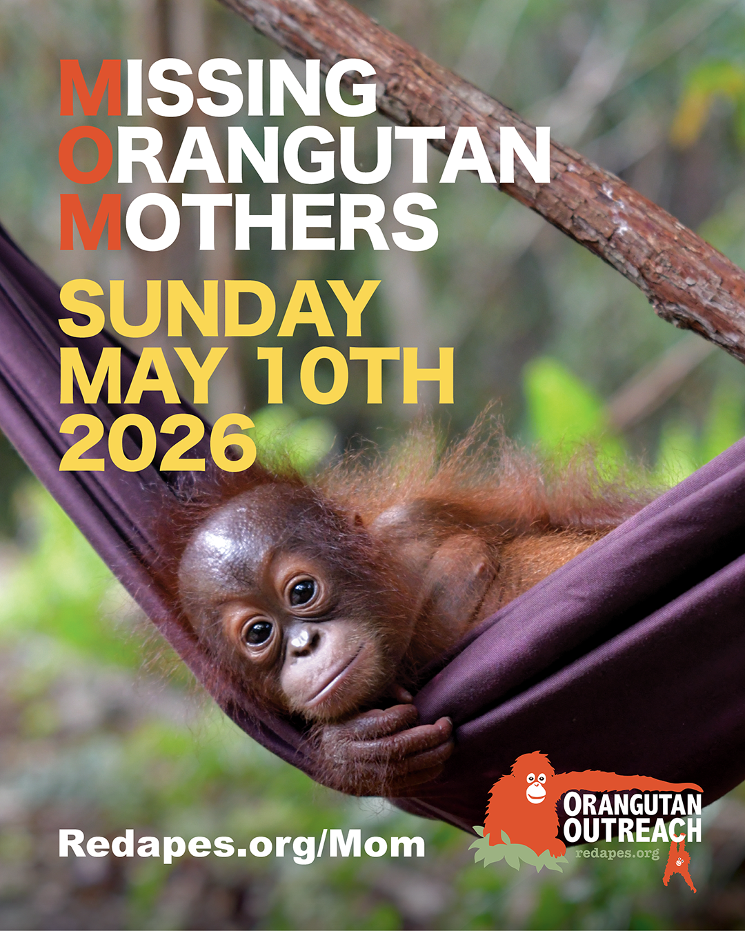 MOM Missing Orangutan Mothers 2026 Campaign Banner