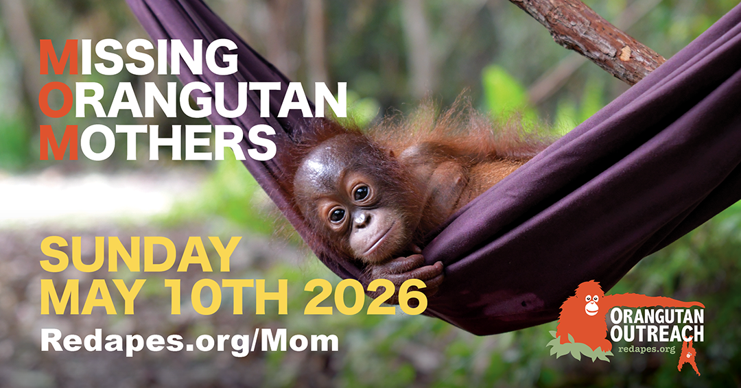 MOM Missing Orangutan Mothers 2026 Campaign Banner