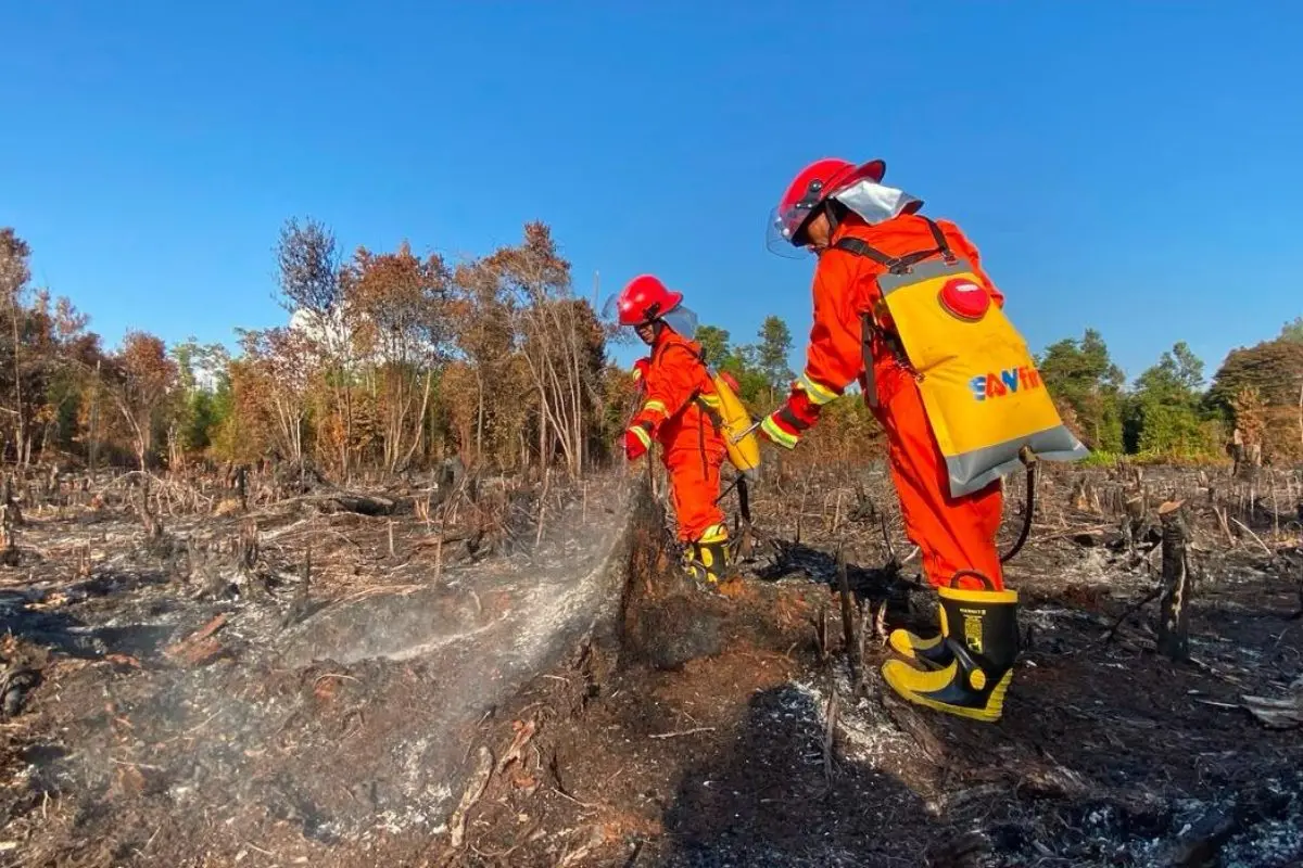 BNF August Fire Fighting