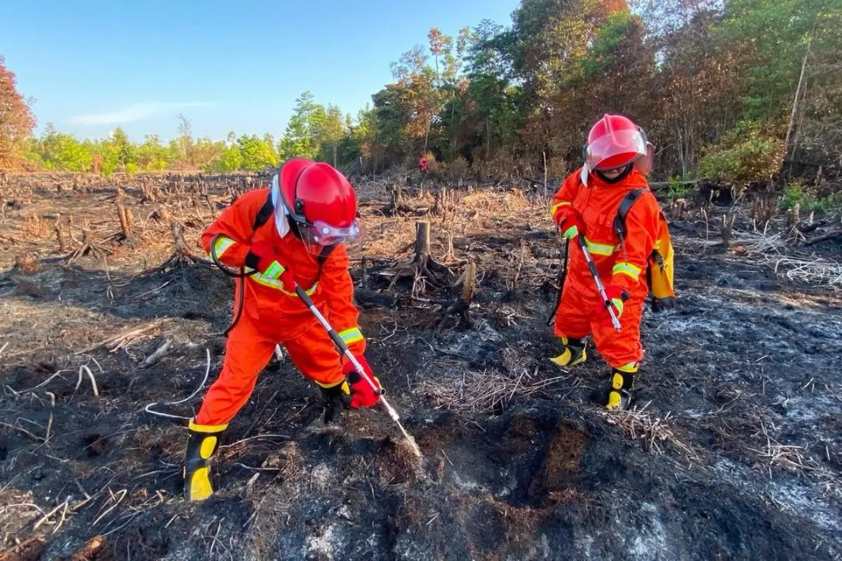 BNF August Fire Fighting