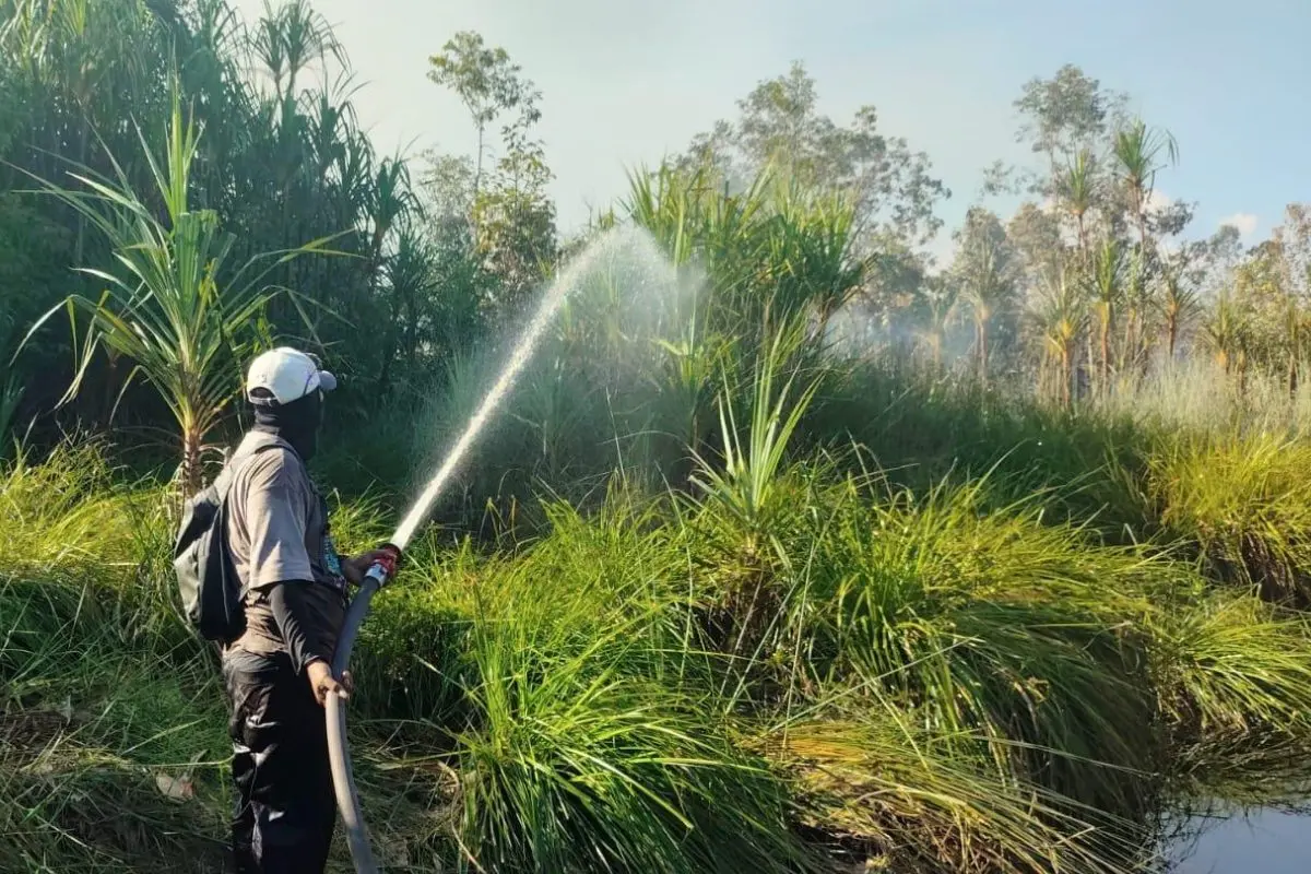 BNF August Fire Fighting