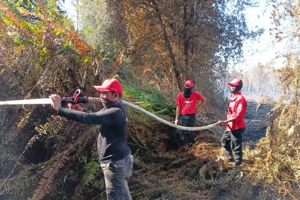 BNF August Fire Fighting