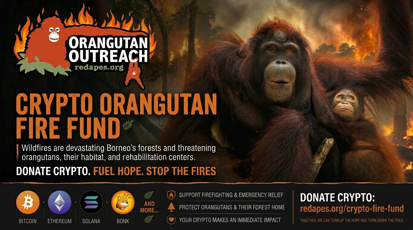 Crypto Orangutan Fire Fund